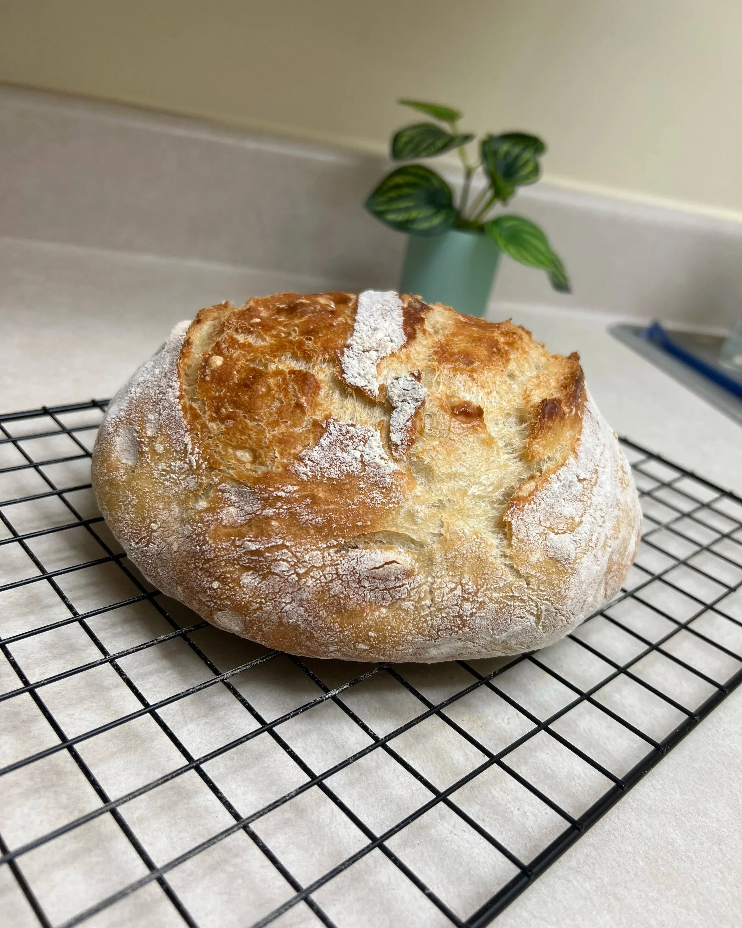 Signature Artisan Bread (Small Round)