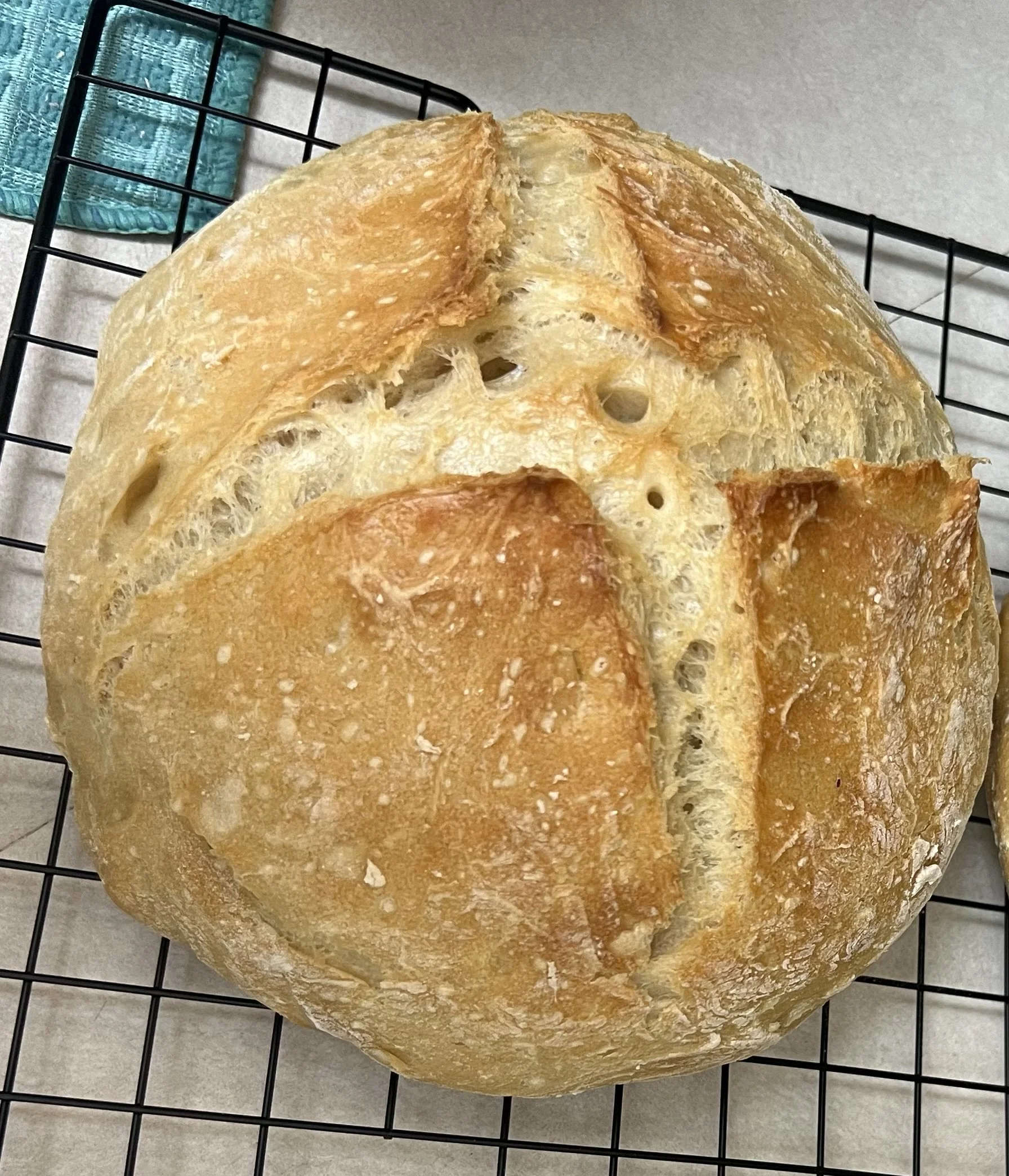 Plain Artisan Bread (Small Round)