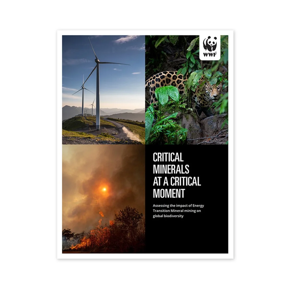 WWF_Minerals.jpg