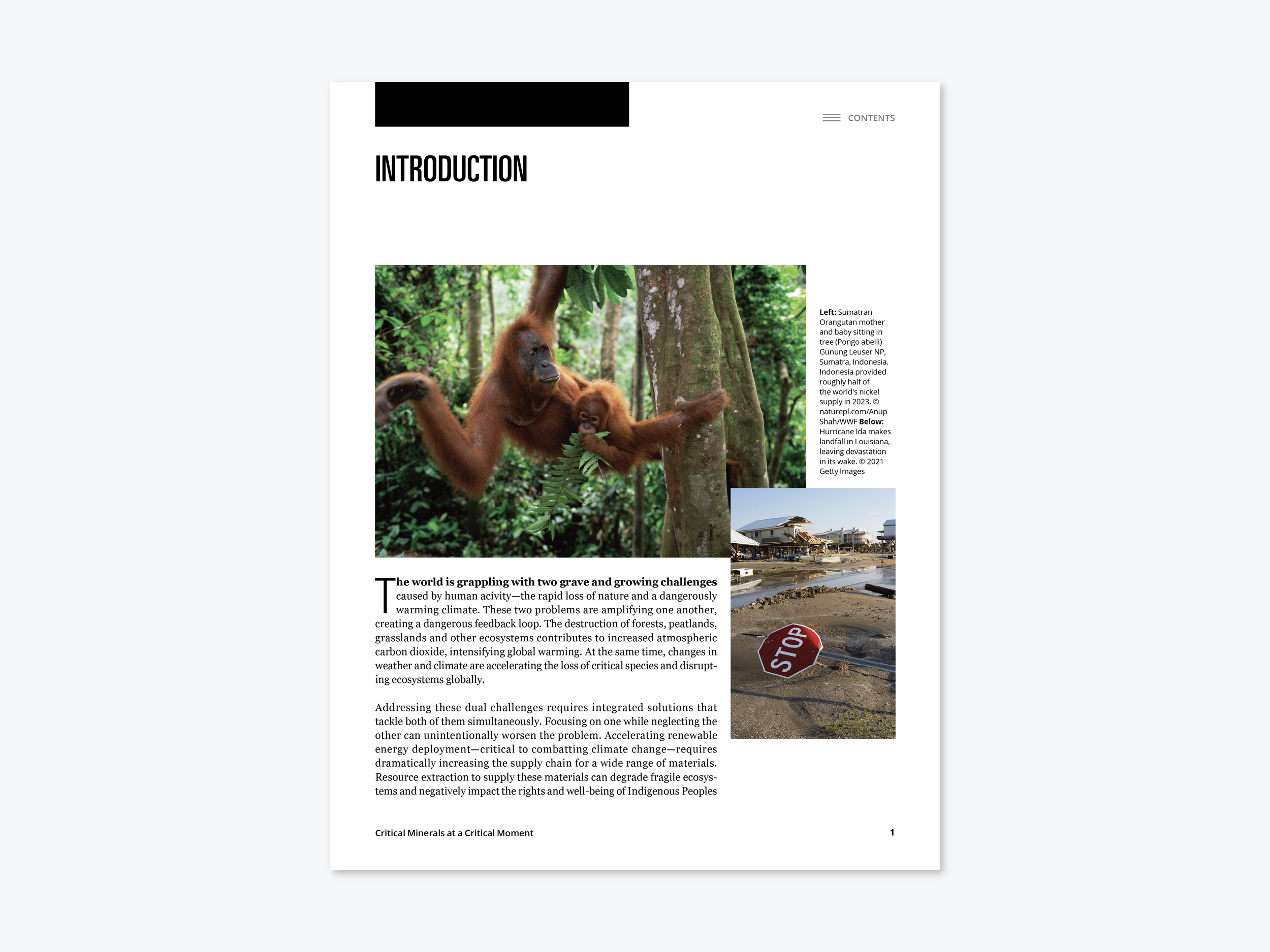 WWF_Minerals_Report__Spread 2.png