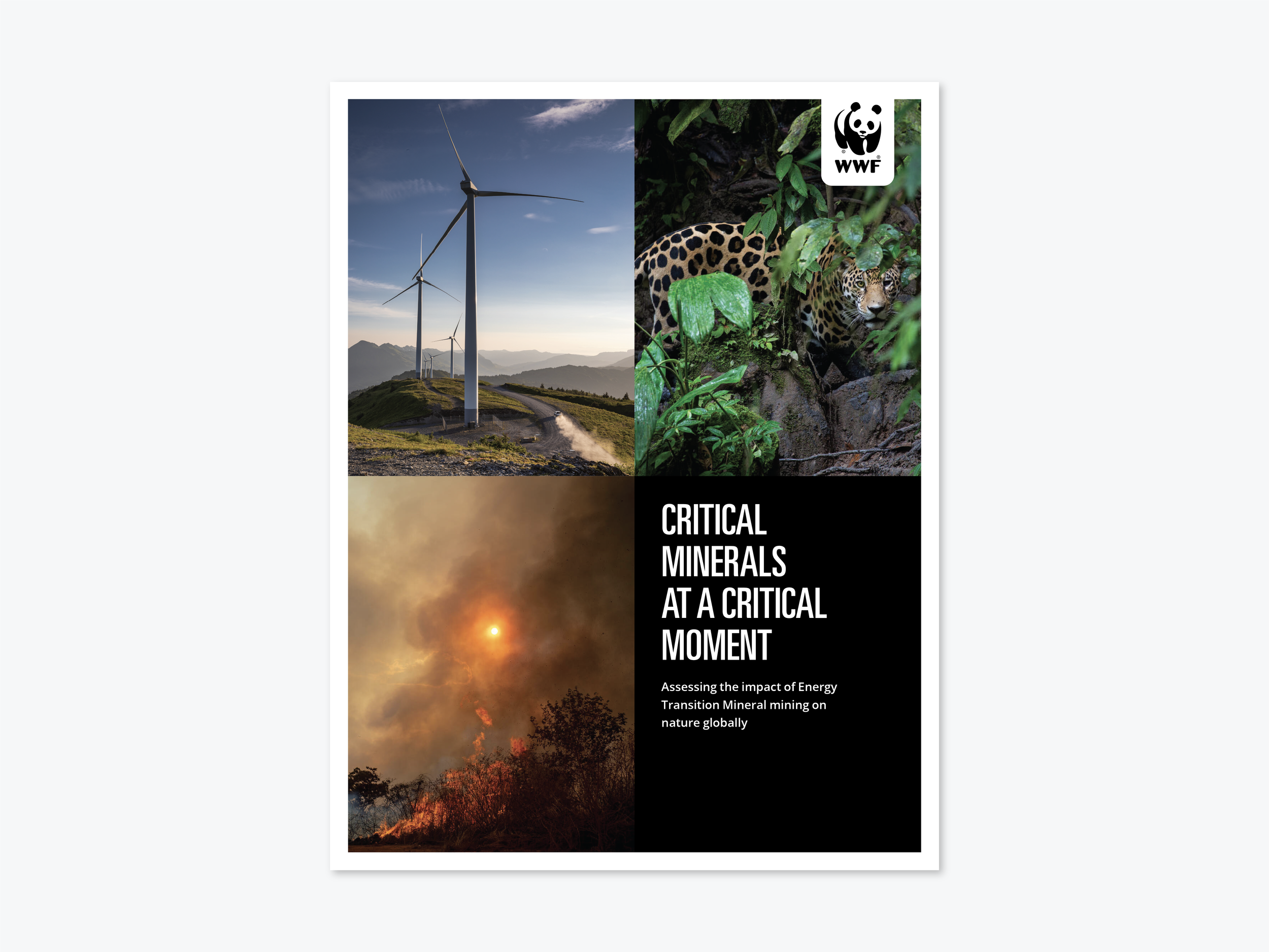 WWF_Minerals_Report__Spread 1.png