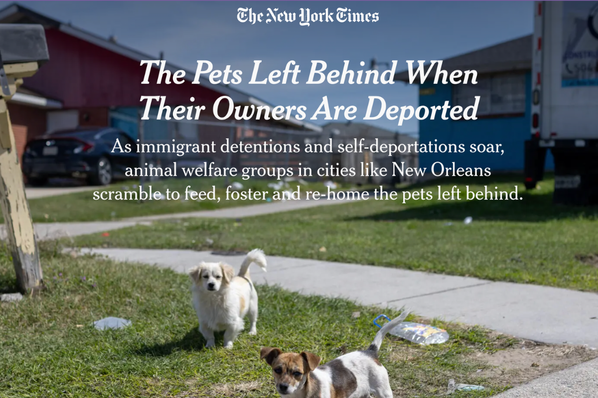 El Pueblo's Cristiane Rosales-Fajardo Featured in The New York Times