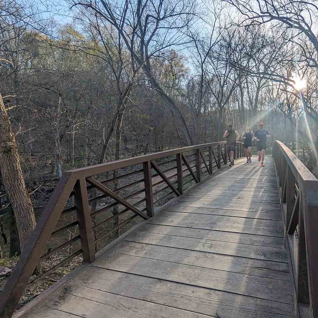 Three people walking on a wooden bridge in a park, trees with no leaves, sunlight shining through the trees