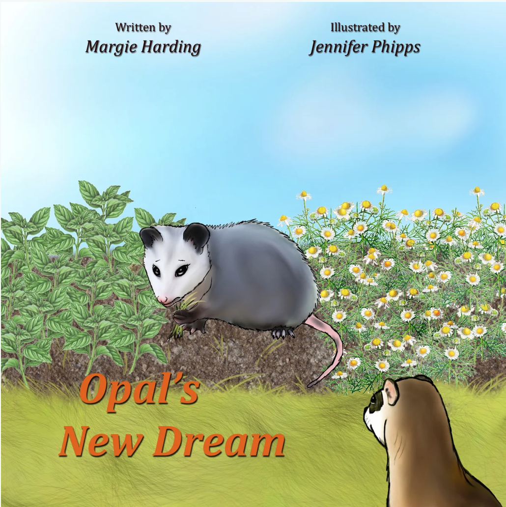Opal's New Dream book cover