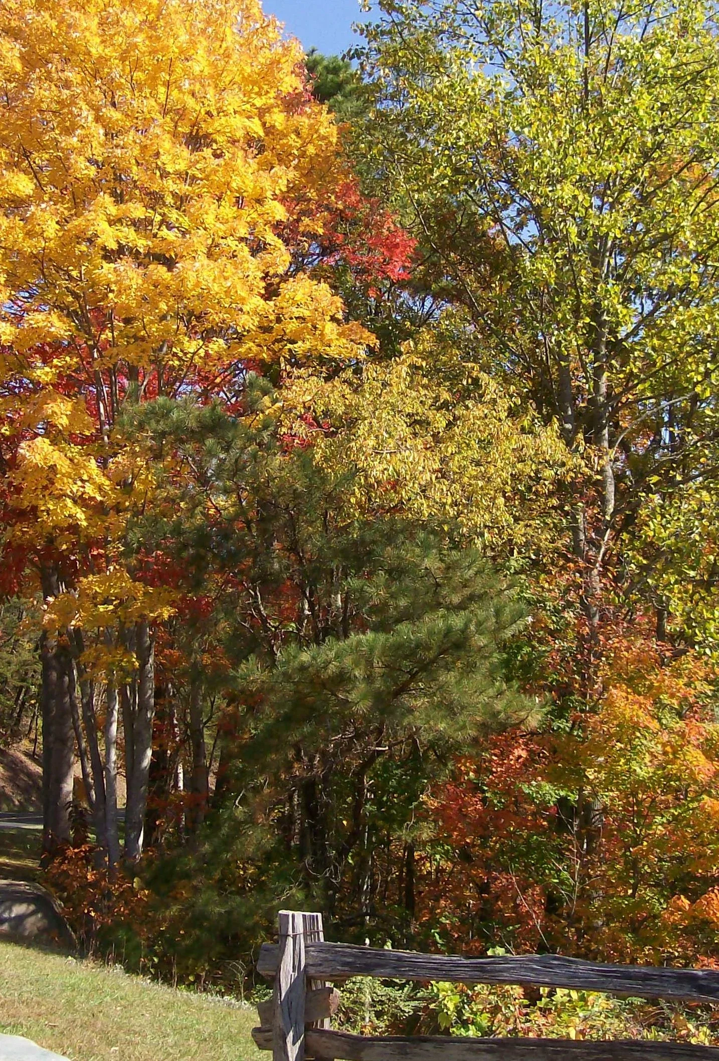 Changing Season: New Challenges