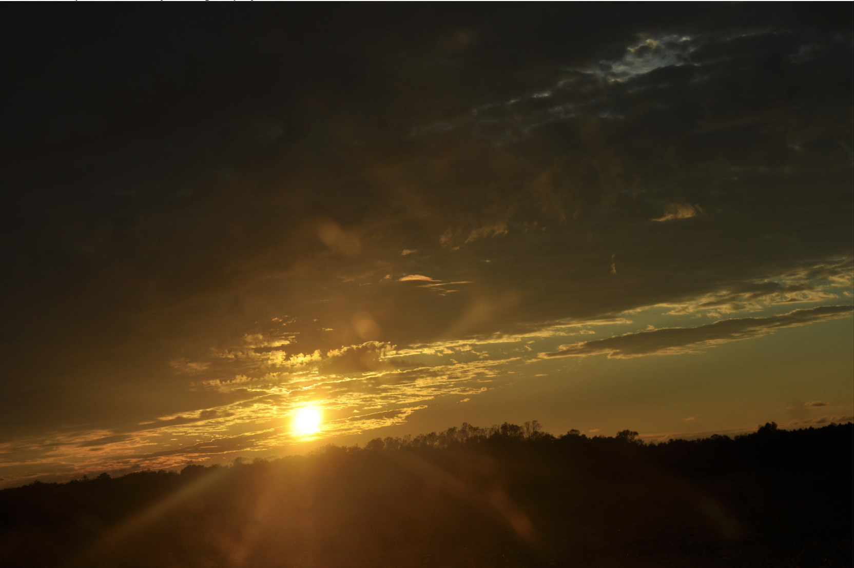 Photography Through A Different Lens