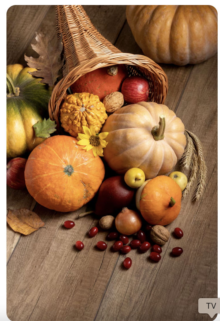 Screenshot 2025-09-23 at 4.11.56 PM.png