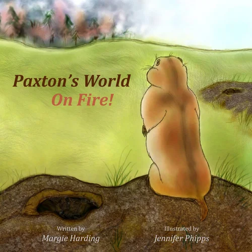 Paxton's World On Fire book cover