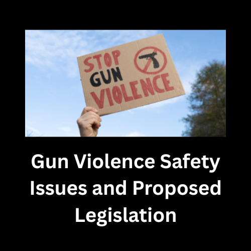 Blog 2 | Chicago Women Take Action