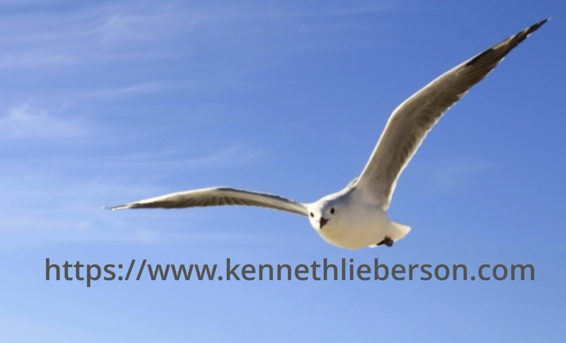 Vlog No. 7 “Symphony in Sea”