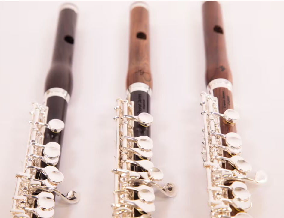 Blog Post No. 12: Soundscape No. 16 (Piccolo)