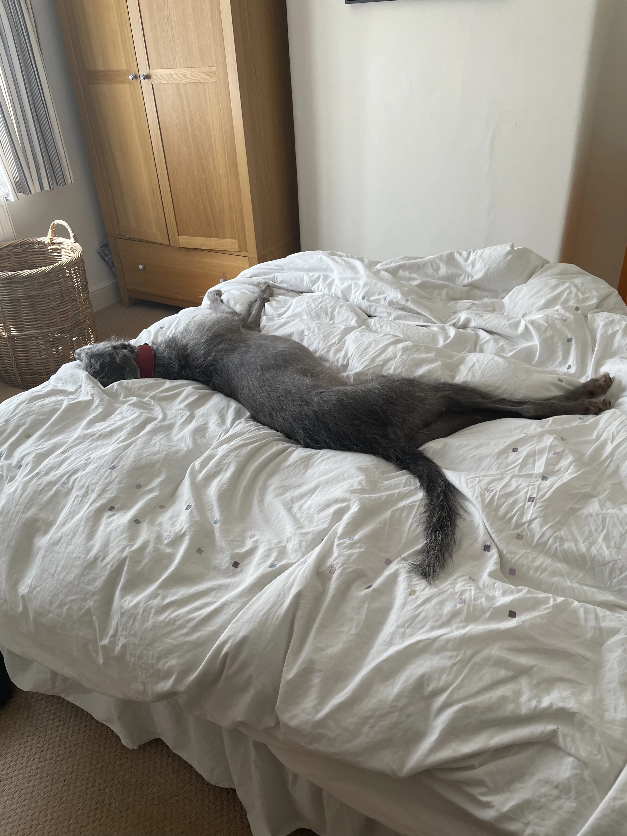 A surprise use for your scarf!