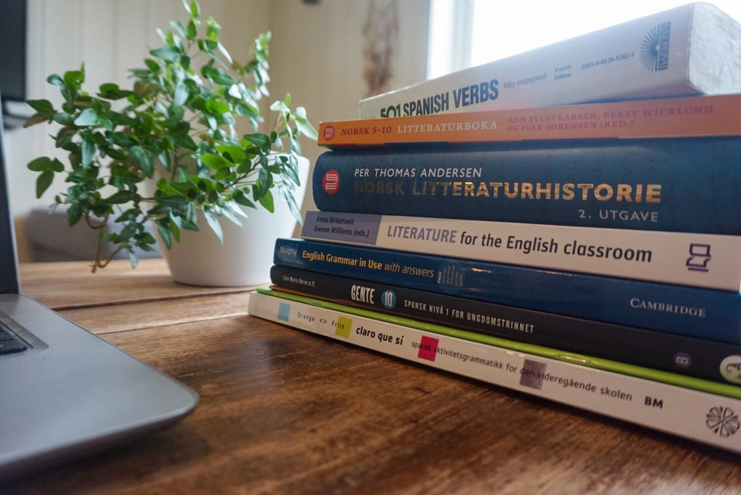 Book now — Language Lessons