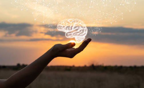 IPHCPR Network Journal Club