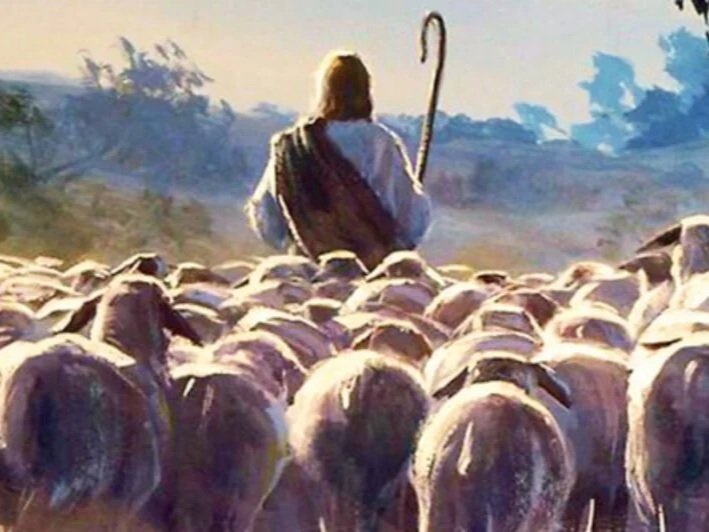 Shepherds Seek
