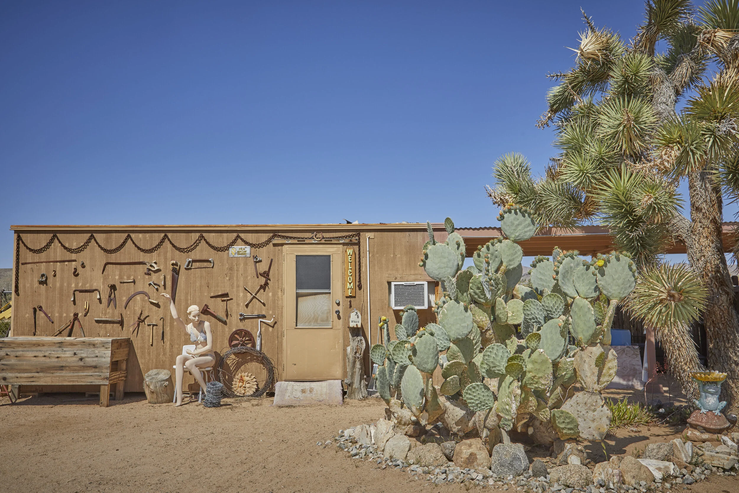 MBCA Desert-Wise Landscape Tours. Photo Heather Sommerfield
