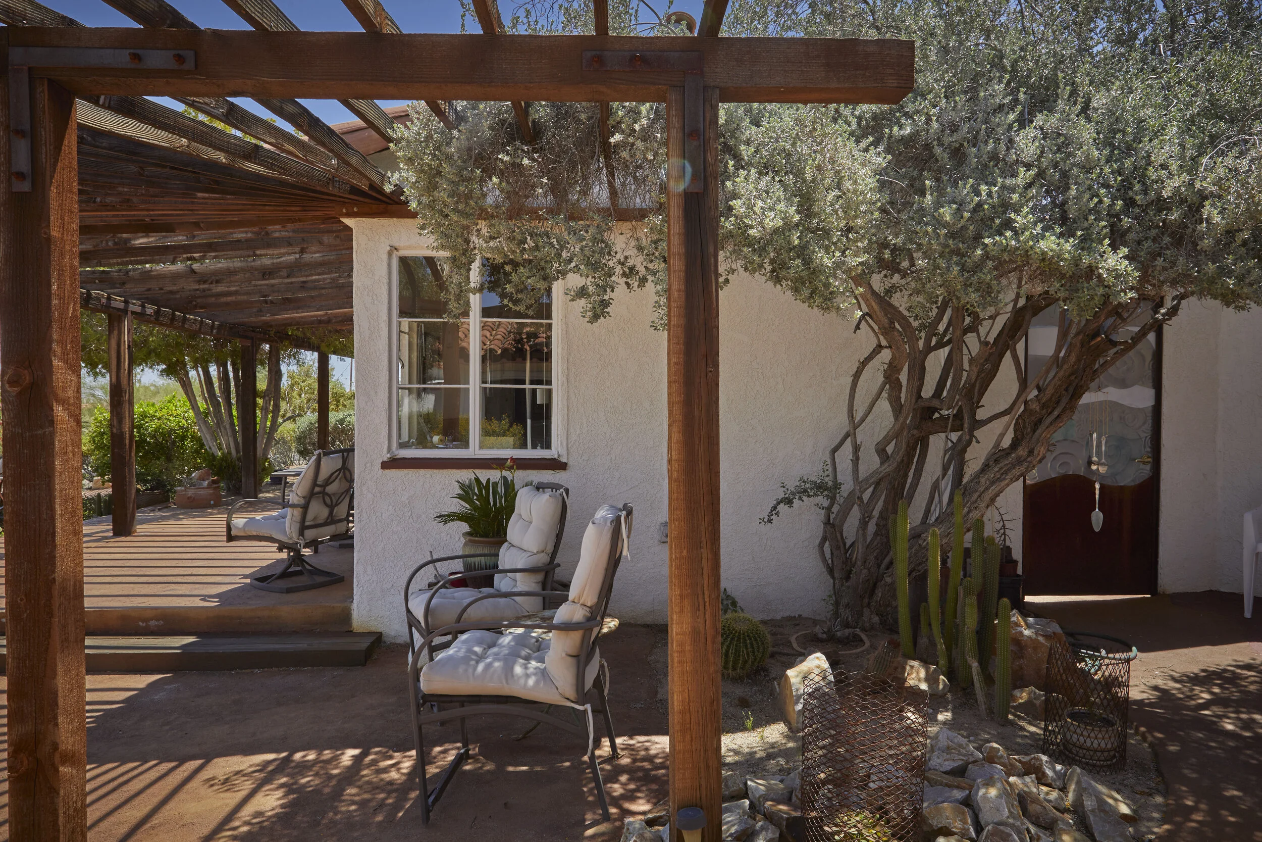 MBCA Desert-Wise Landscape Tours. Photo Heather Sommerfield