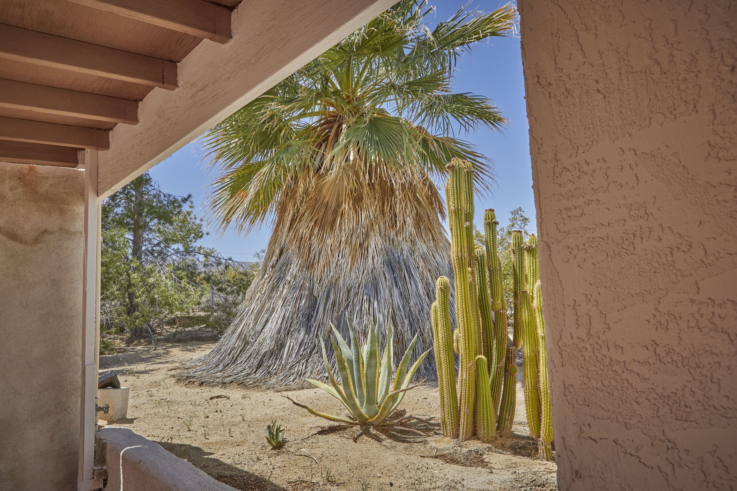 MBCA Desert-Wise Landscape Tours. Photo Heather Sommerfield