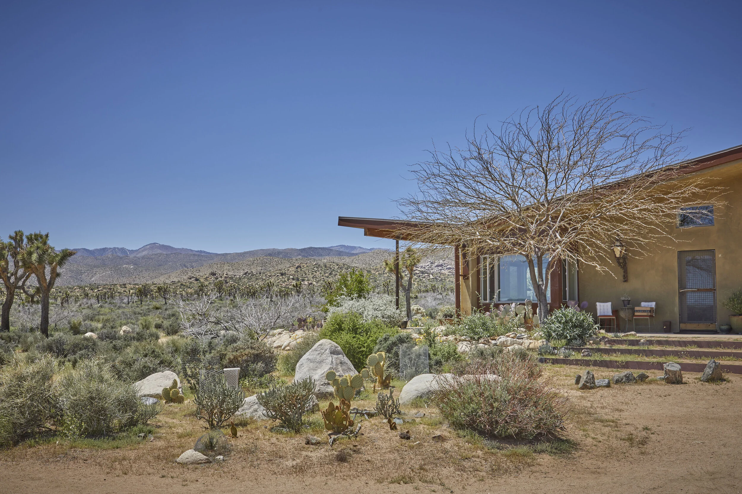 MBCA Desert-Wise Landscape Tours. Photo Heather Sommerfield