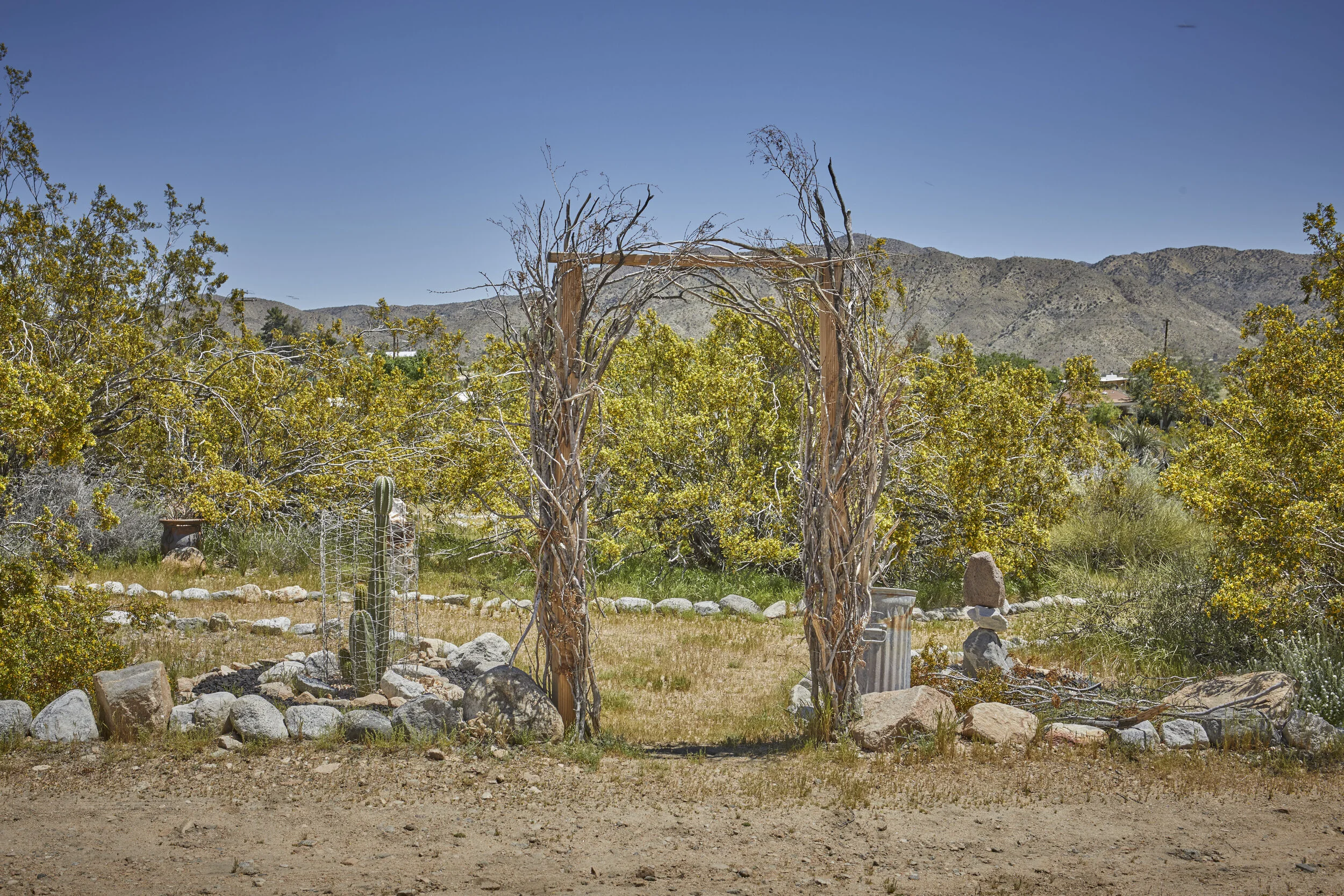 MBCA Desert-Wise Landscape Tours. Photo Heather Sommerfield