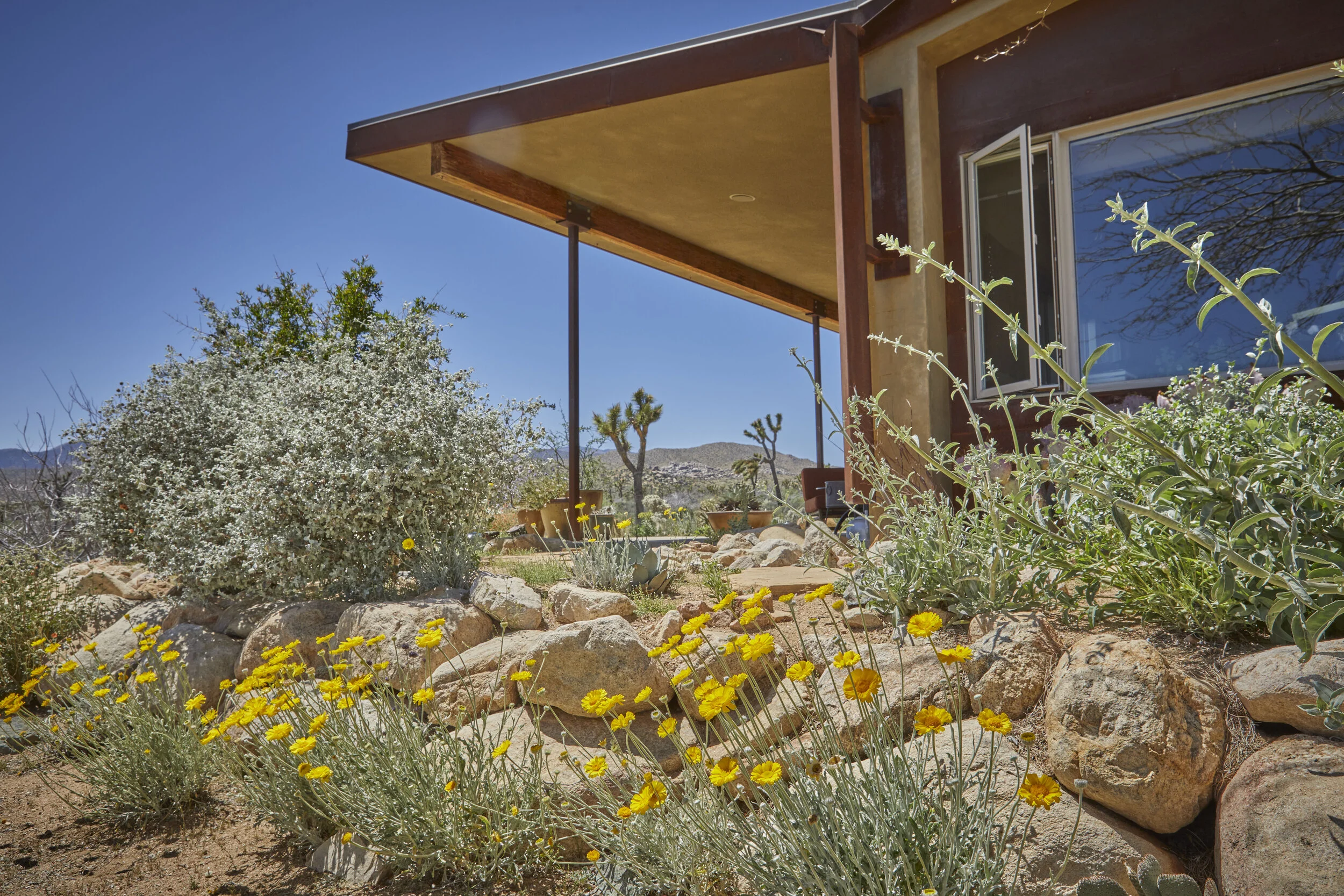 MBCA Desert-Wise Landscape Tours. Photo Heather Sommerfield