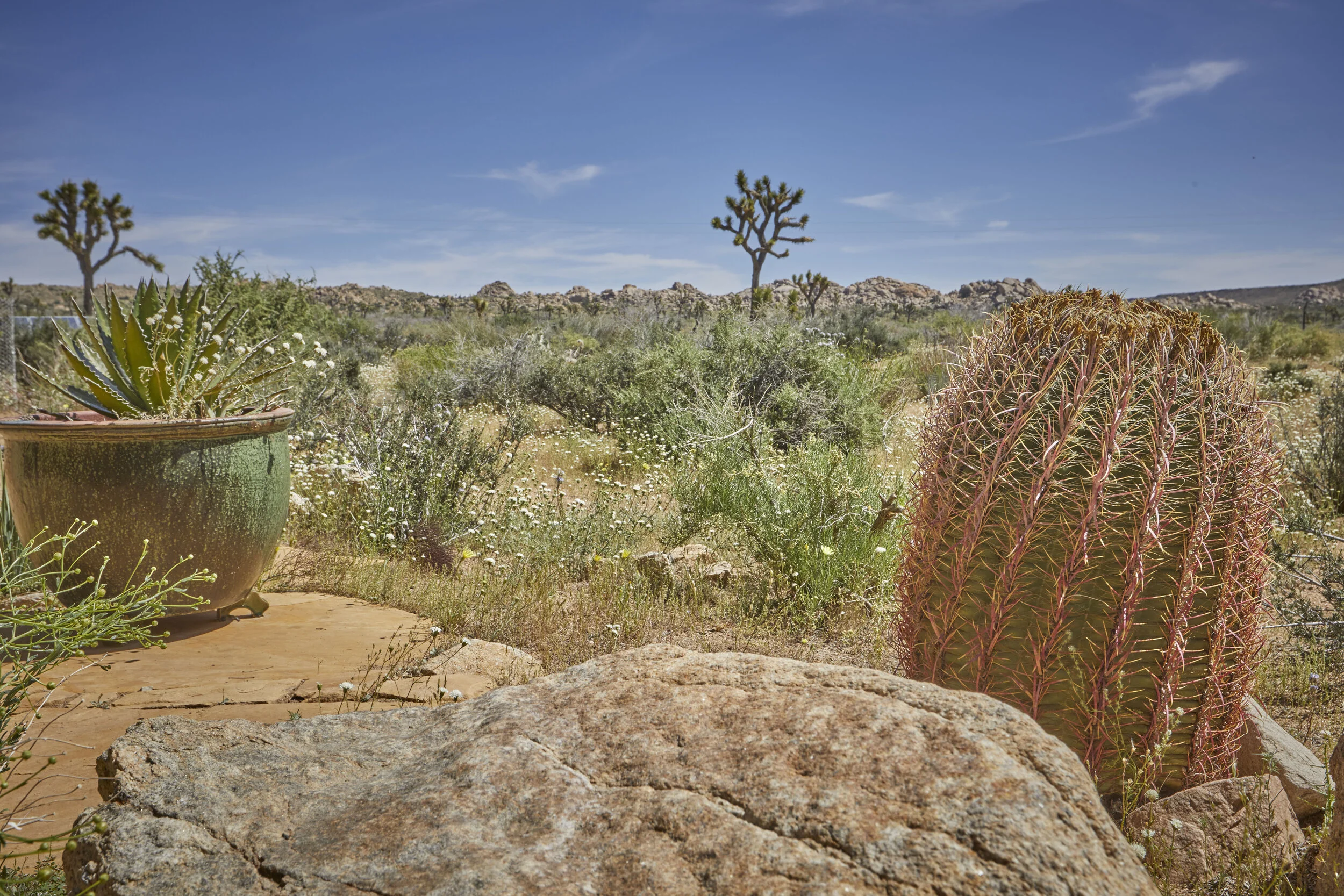 MBCA Desert-Wise Landscape Tours. Photo Heather Sommerfield