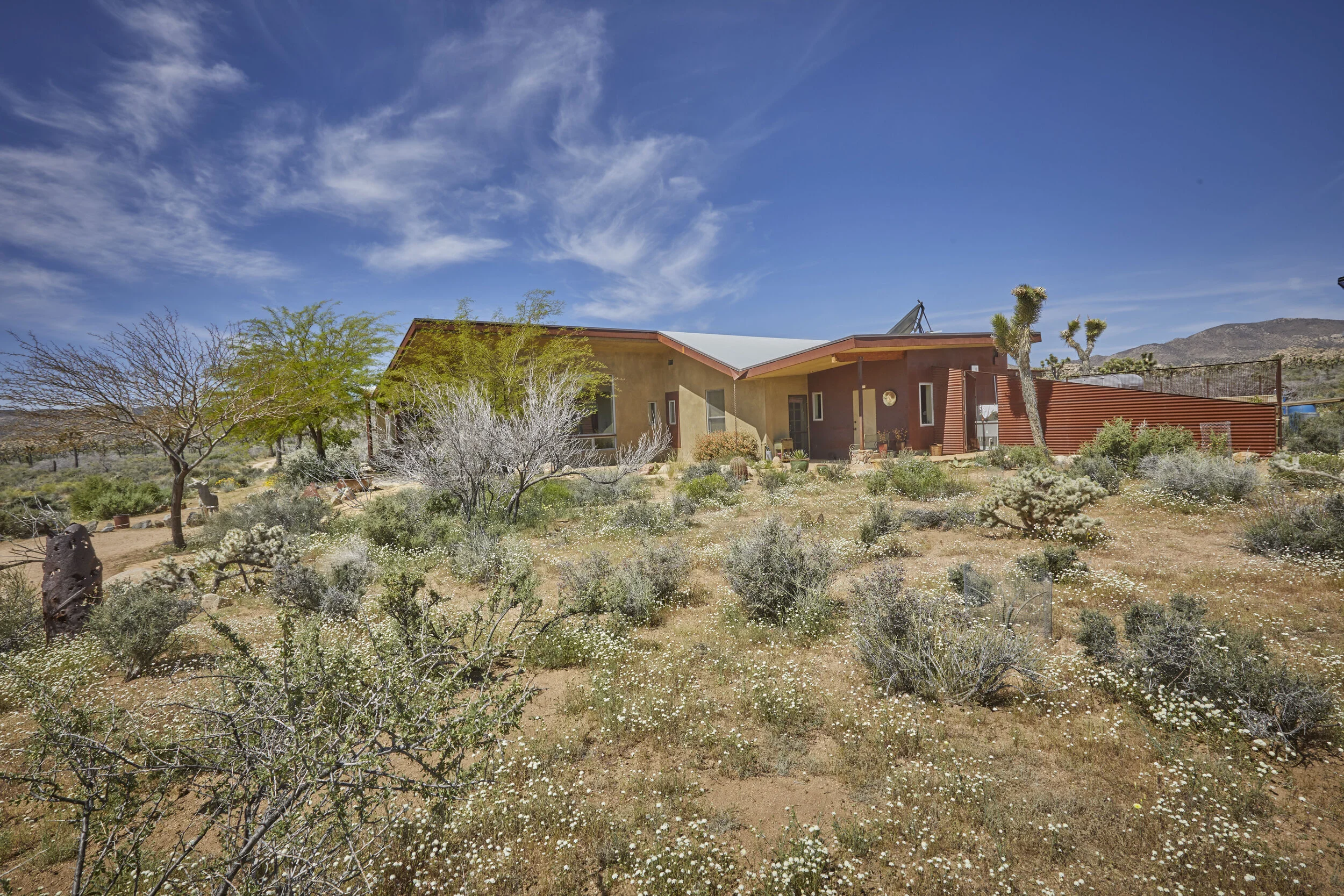 MBCA Desert-Wise Landscape Tours. Photo Heather Sommerfield