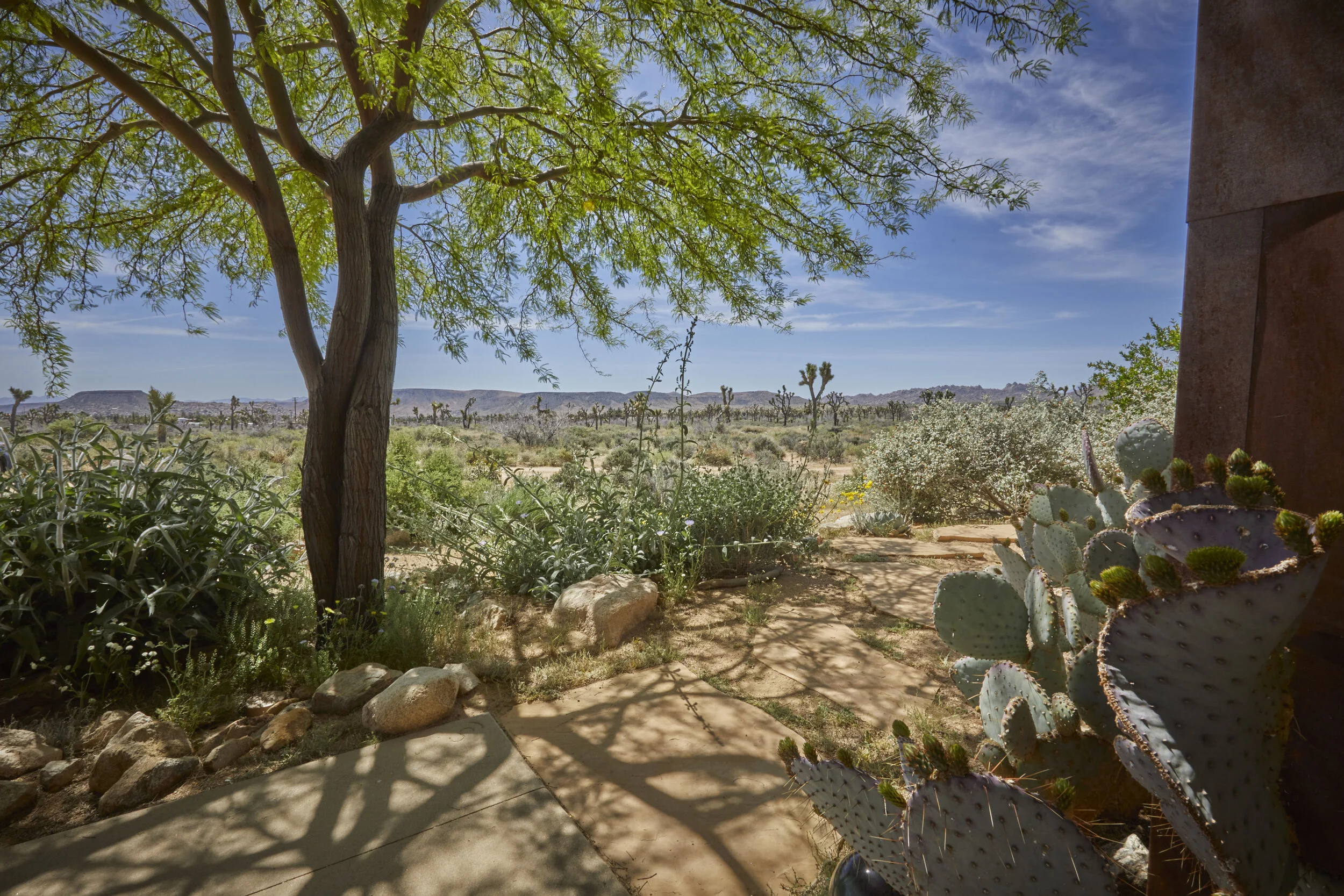 MBCA Desert-Wise Landscape Tours. Photo Heather Sommerfield