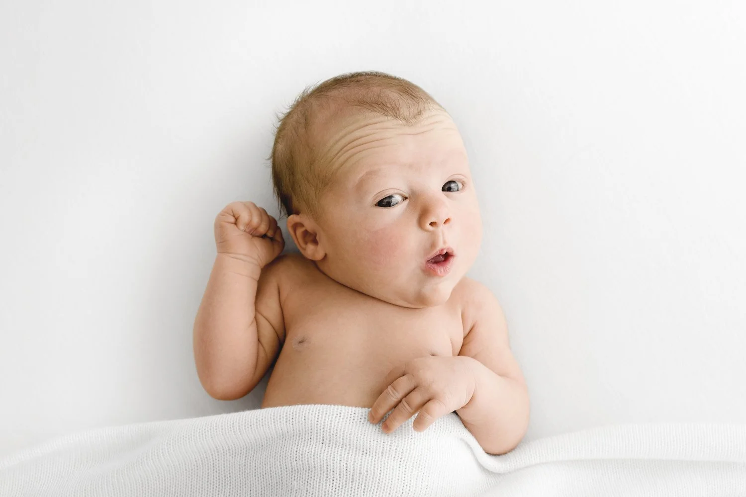 Newborn baby photography jargon explained by Mabel and Moose Dundee