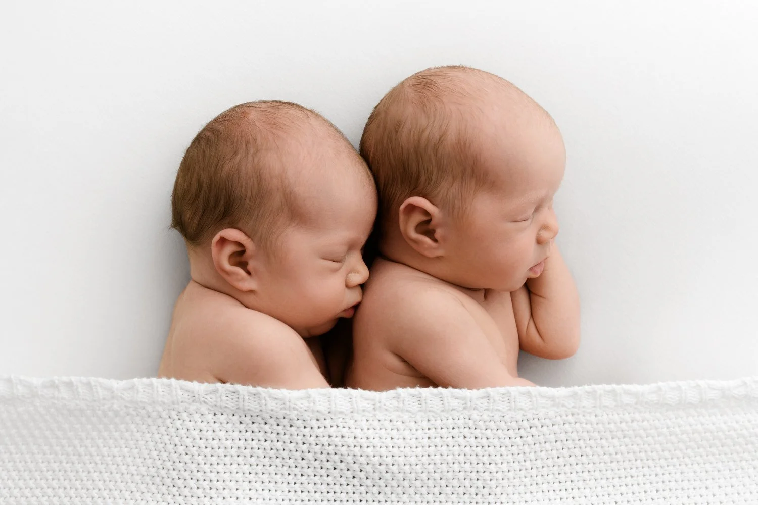 Twin newborn babies photographed naturally at Mabel and Moose Dundee