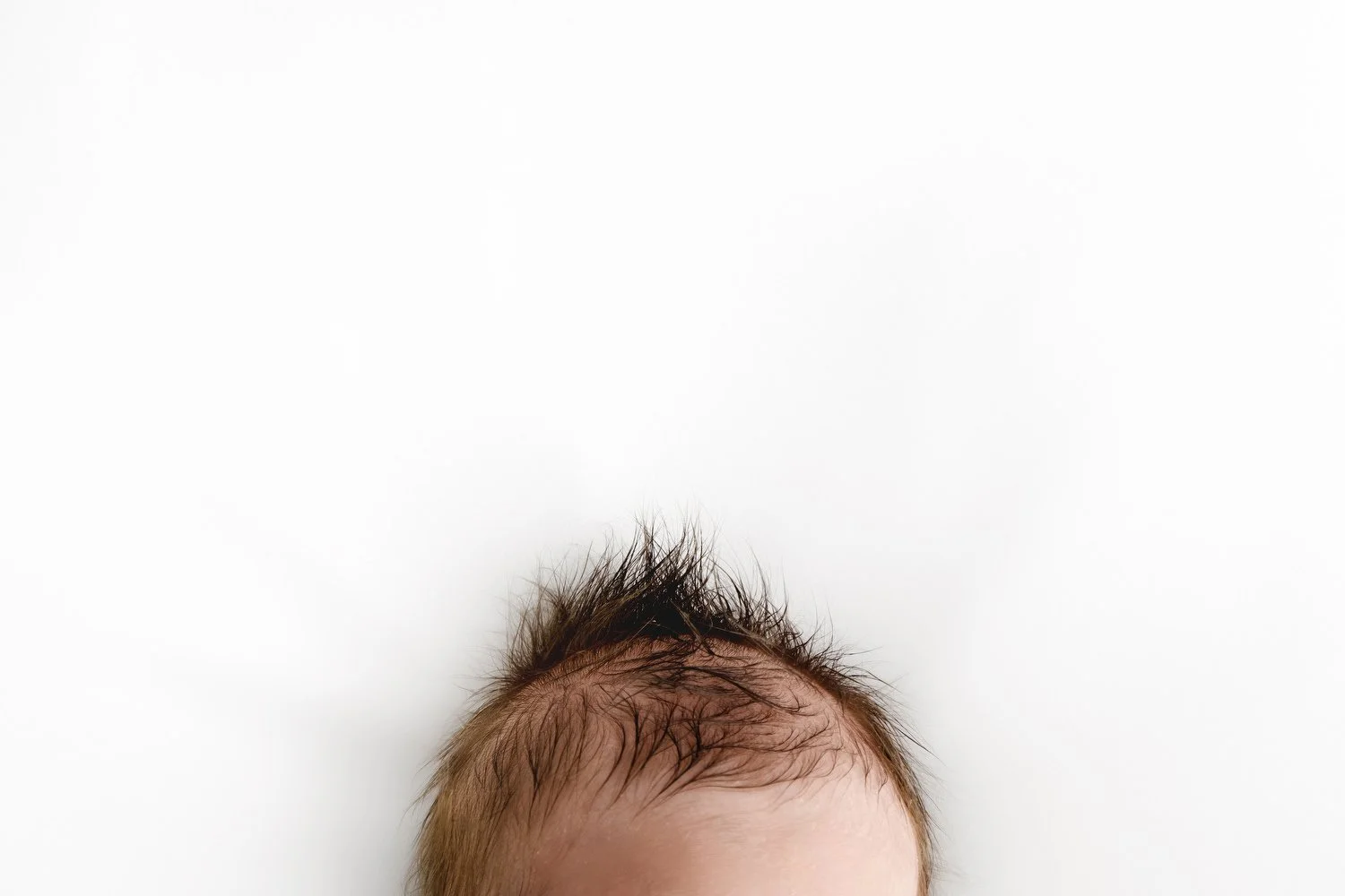 Close-up detail of newborn baby’s soft hair in natural studio light