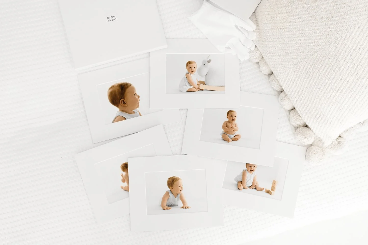 Little Moose Session collection showing presentation box branded bag white gloves and 6 mounted baby prints Mabel and Moose Dundee