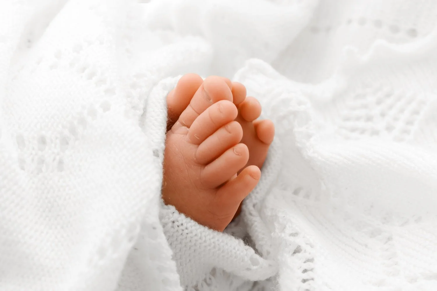 14 day old newborn baby's toes  at Mabel and Moose studio Monifieth Dundee
