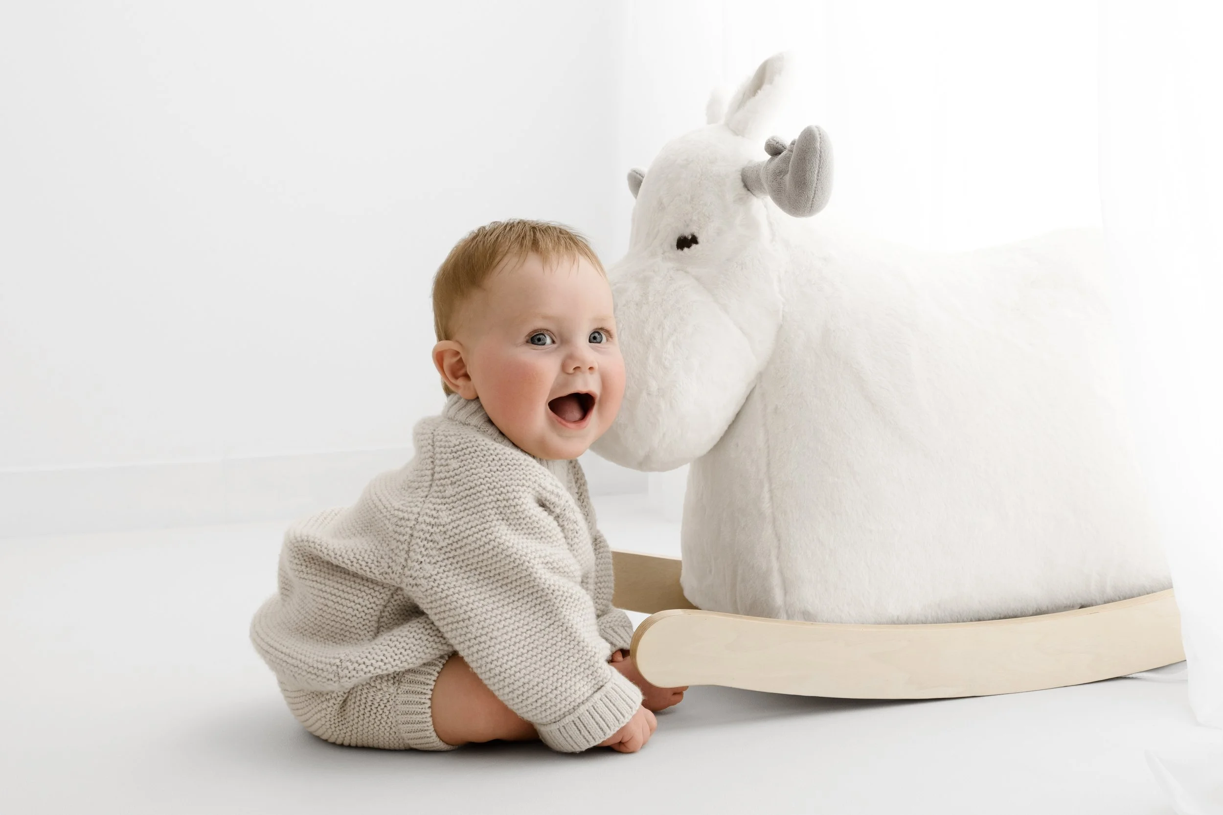 Smiling 6 month old baby sitting beside white moose toy at Dundee studio photoshoot