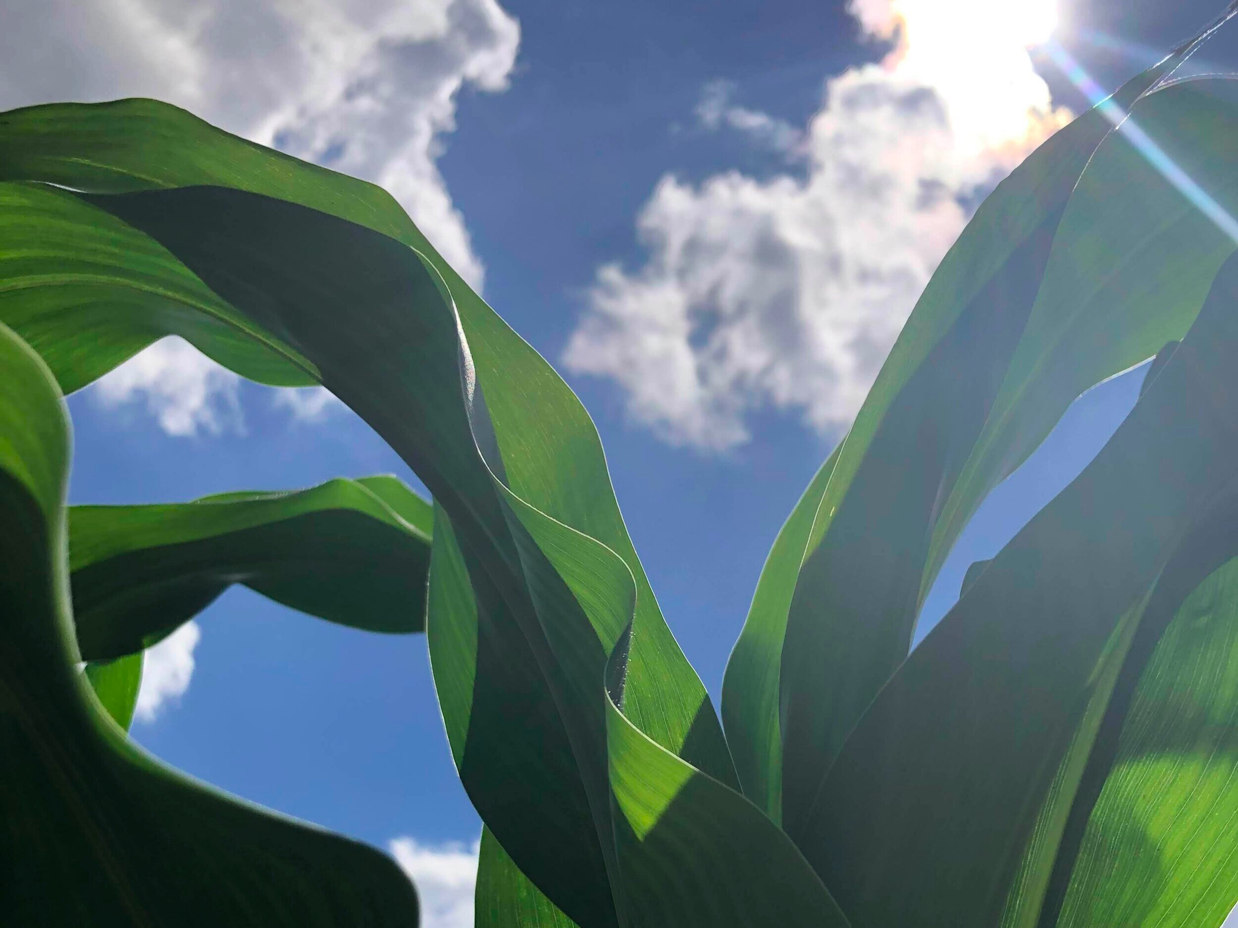 Photo+2019-07-03%2C+3+32+23+PM.jpg