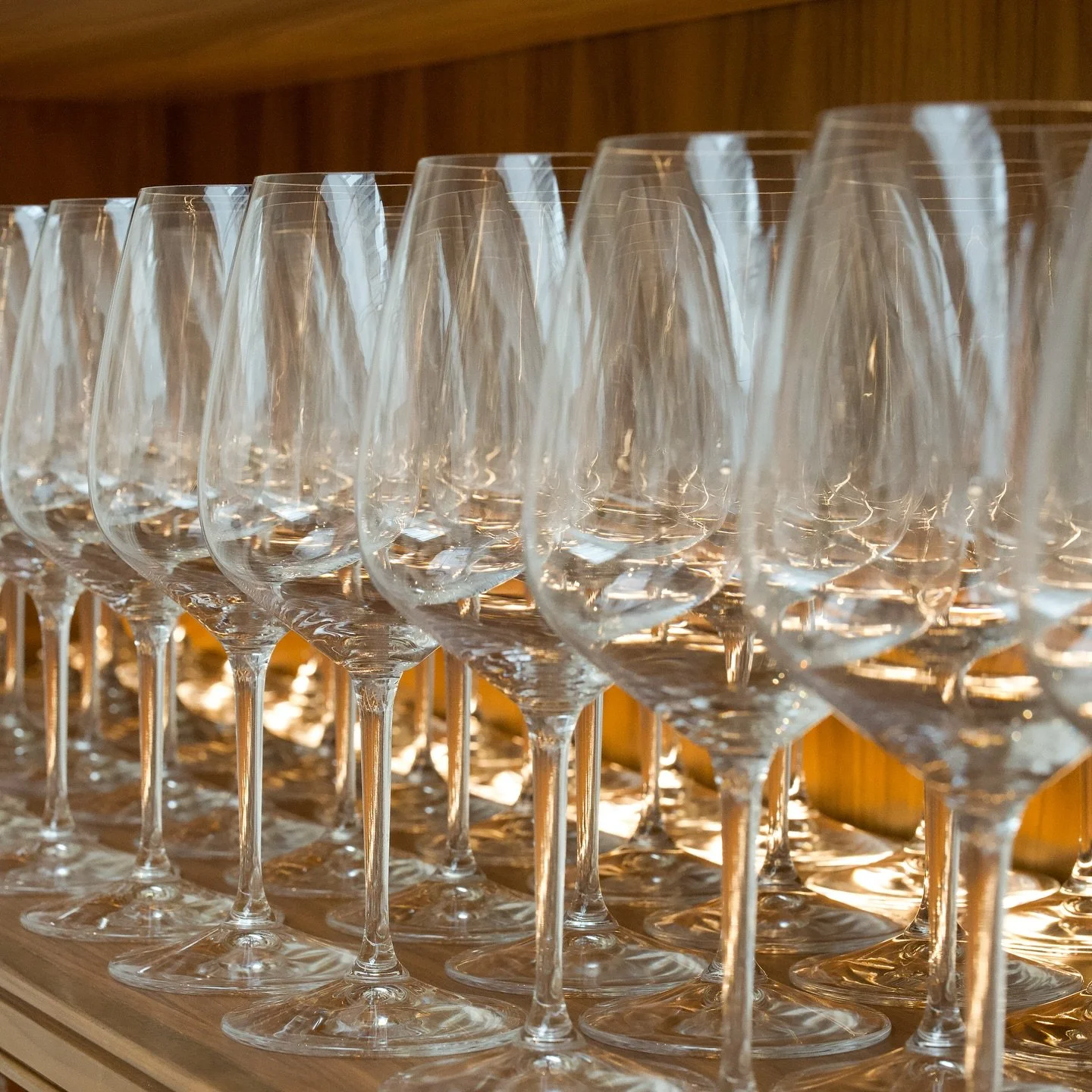 Toronto  |  Private Cellar Release - A Sip & Shop Experience  |  03.26.2026