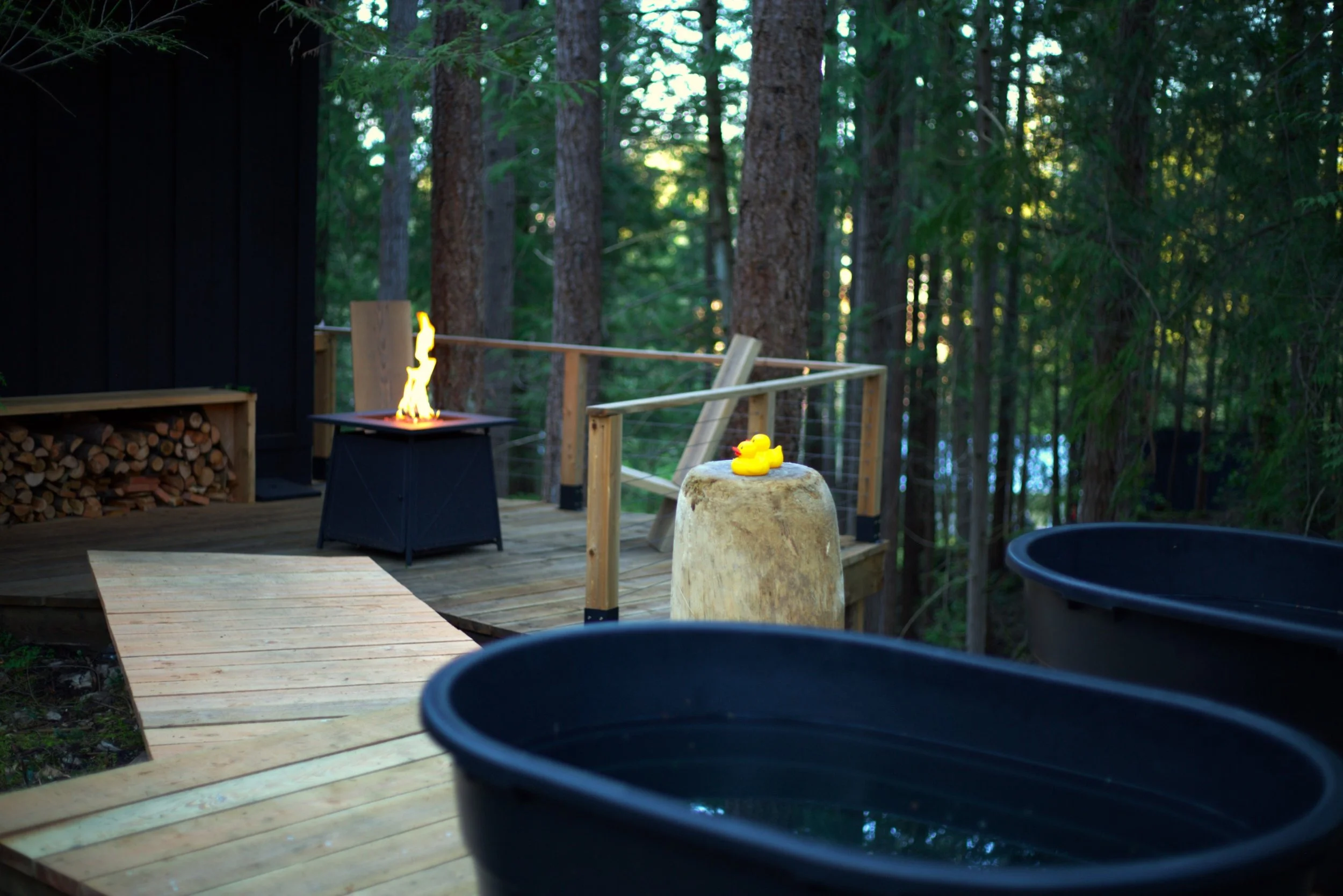 WhatsApp Image 2026-01-14 at 6.05.52 PM(1).jpeg