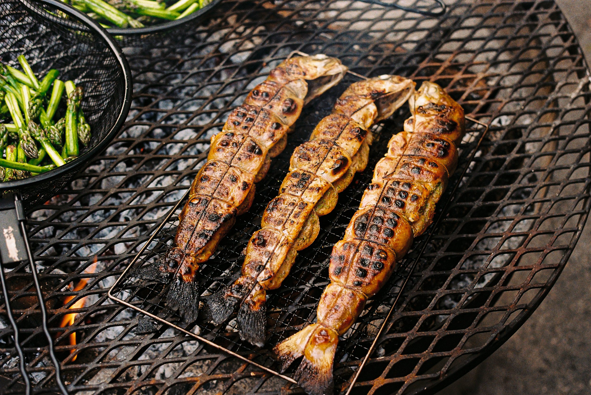 DH 7. Fish.jpg