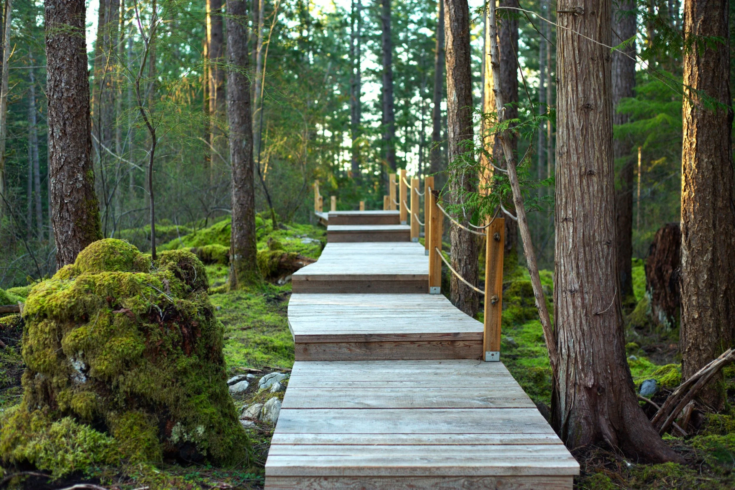 WhatsApp Image 2026-01-14 at 6.05.52 PM(2).jpeg