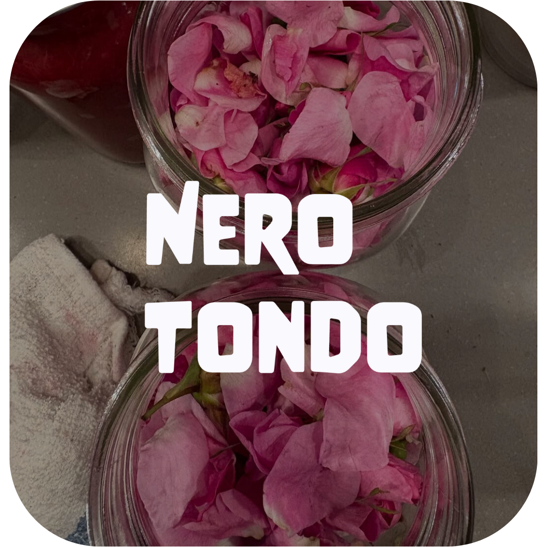  
  Nero Tondo 
 Vancouver • Hastings Sunrise • Farm to Table
 
 Reserve with DINR 
  
 
 Vancouver 