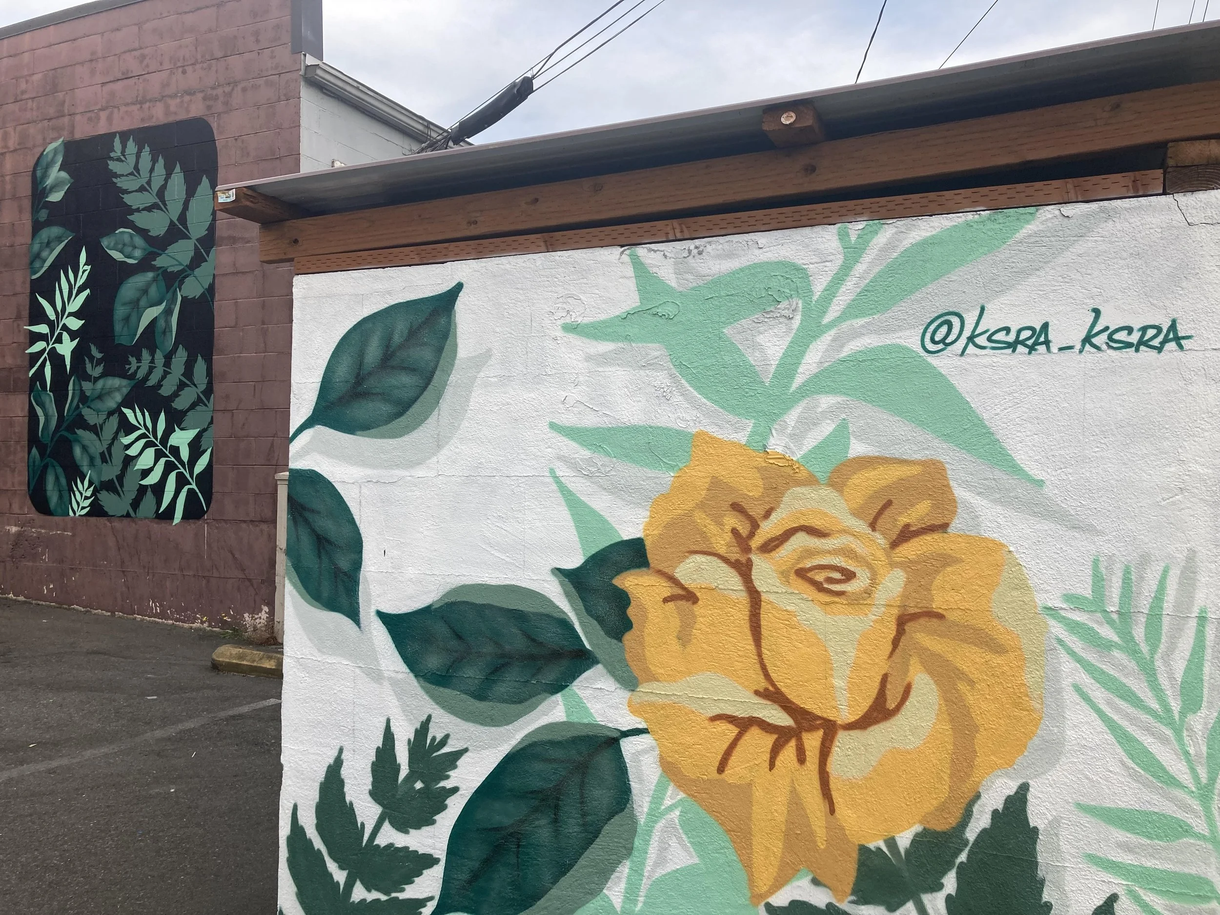 Spray Paint Murals