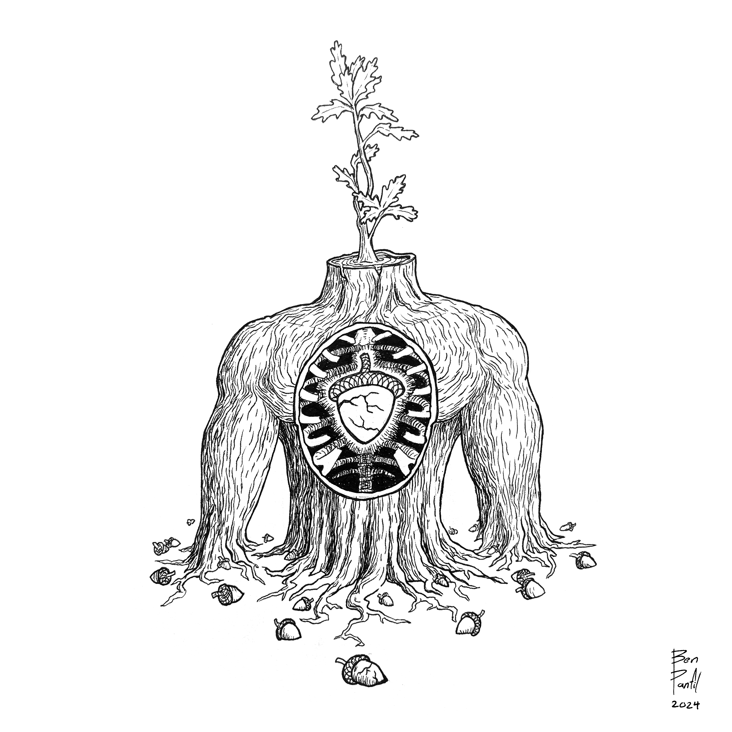 SeedsOfSlowGrowth_share.png