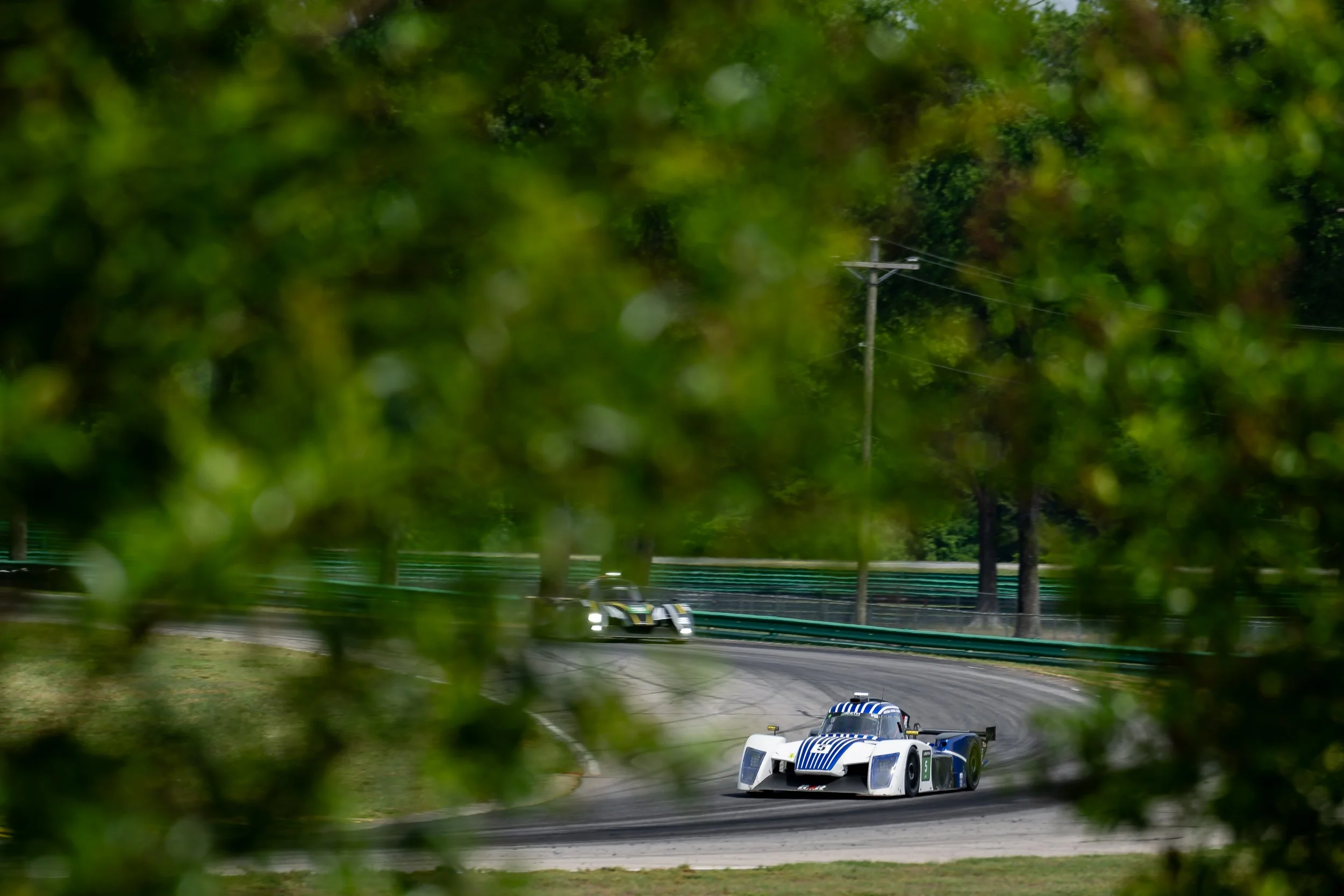 dsc_2206.jpg
