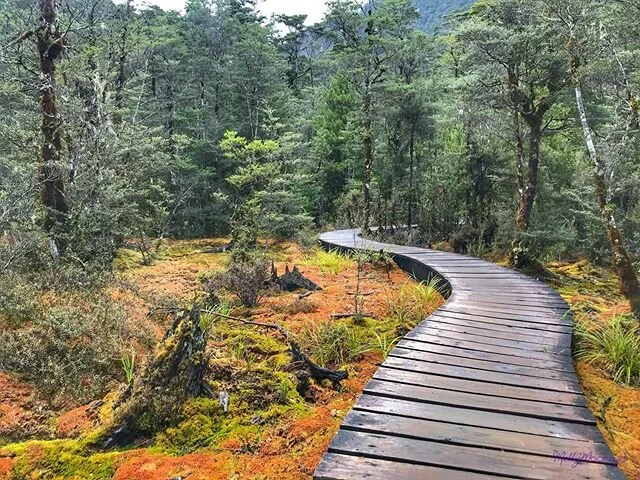The Way.
&bull;
&bull;
&bull;
#neverstopexploring #getoutside #newzealand #milfordtrack #freshair #thegreatoutdoors #hike #worldtraveler #photography #wildadventures #chooseyourownadventure #livetoLIVE