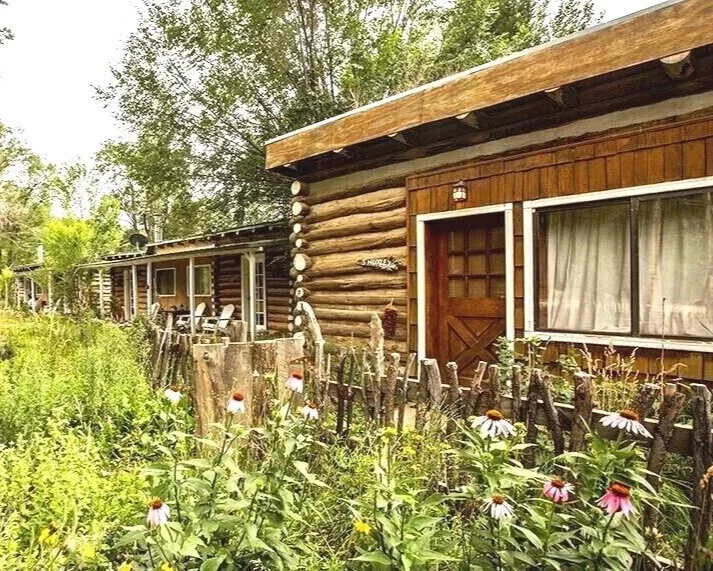 cabin row wildflowers.webp