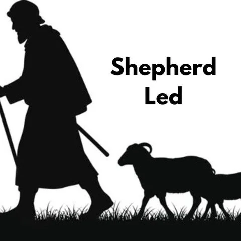 SHEPHERD LED