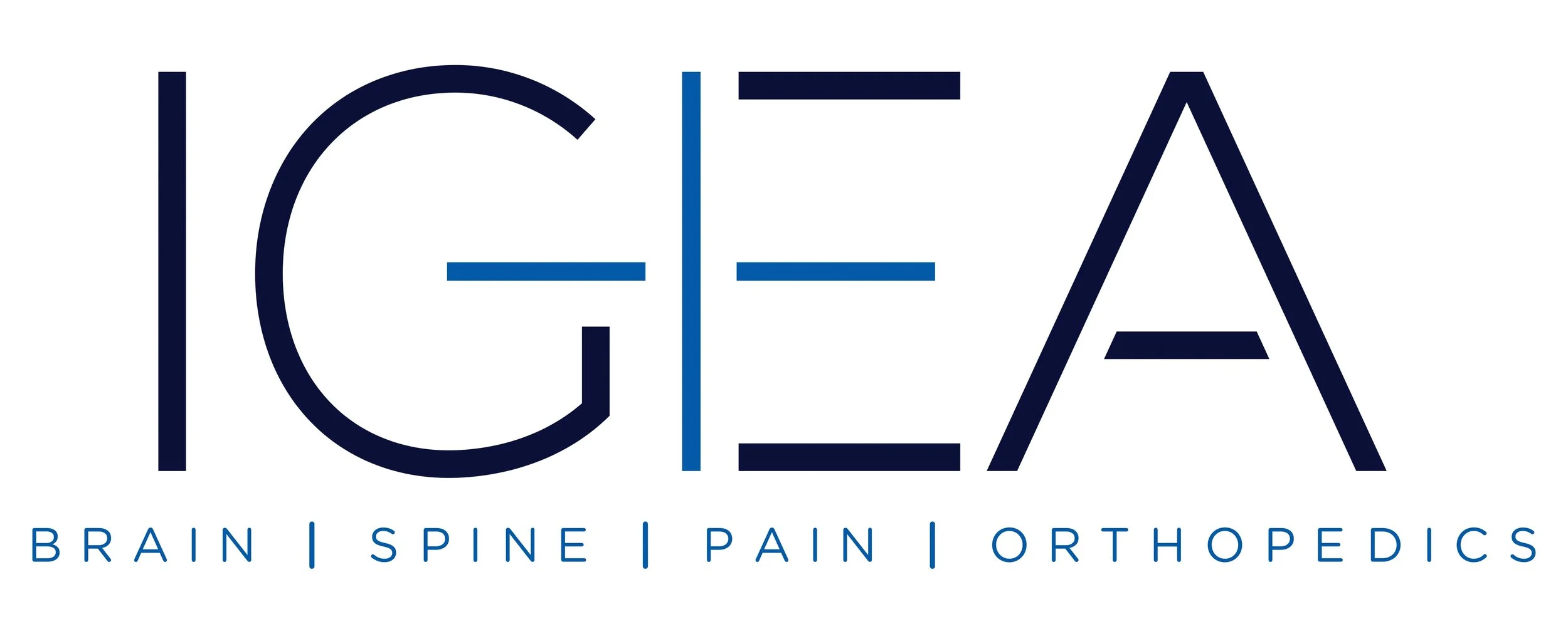 igea logo.jpg