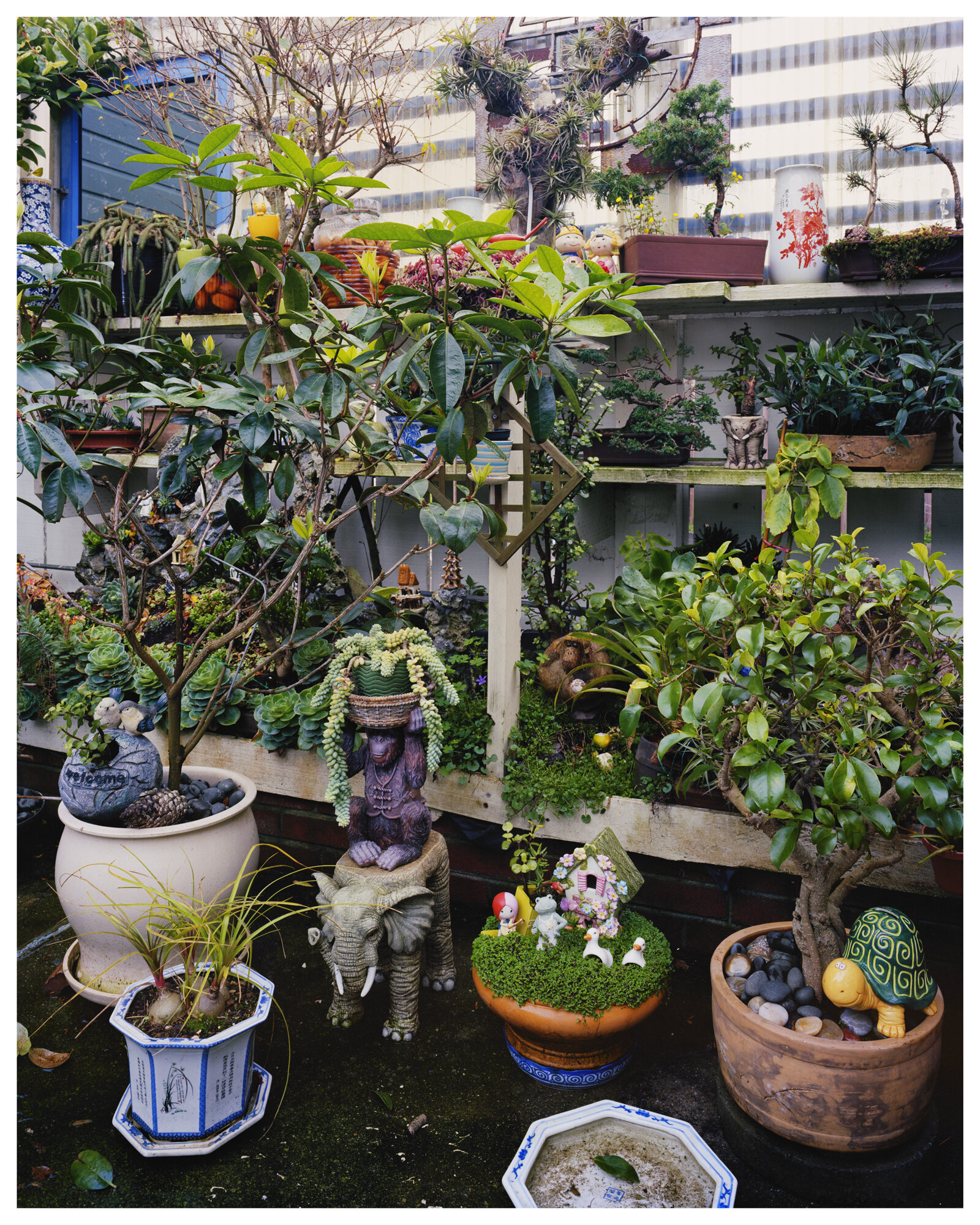 Jim Truong's Garden - Panel 6