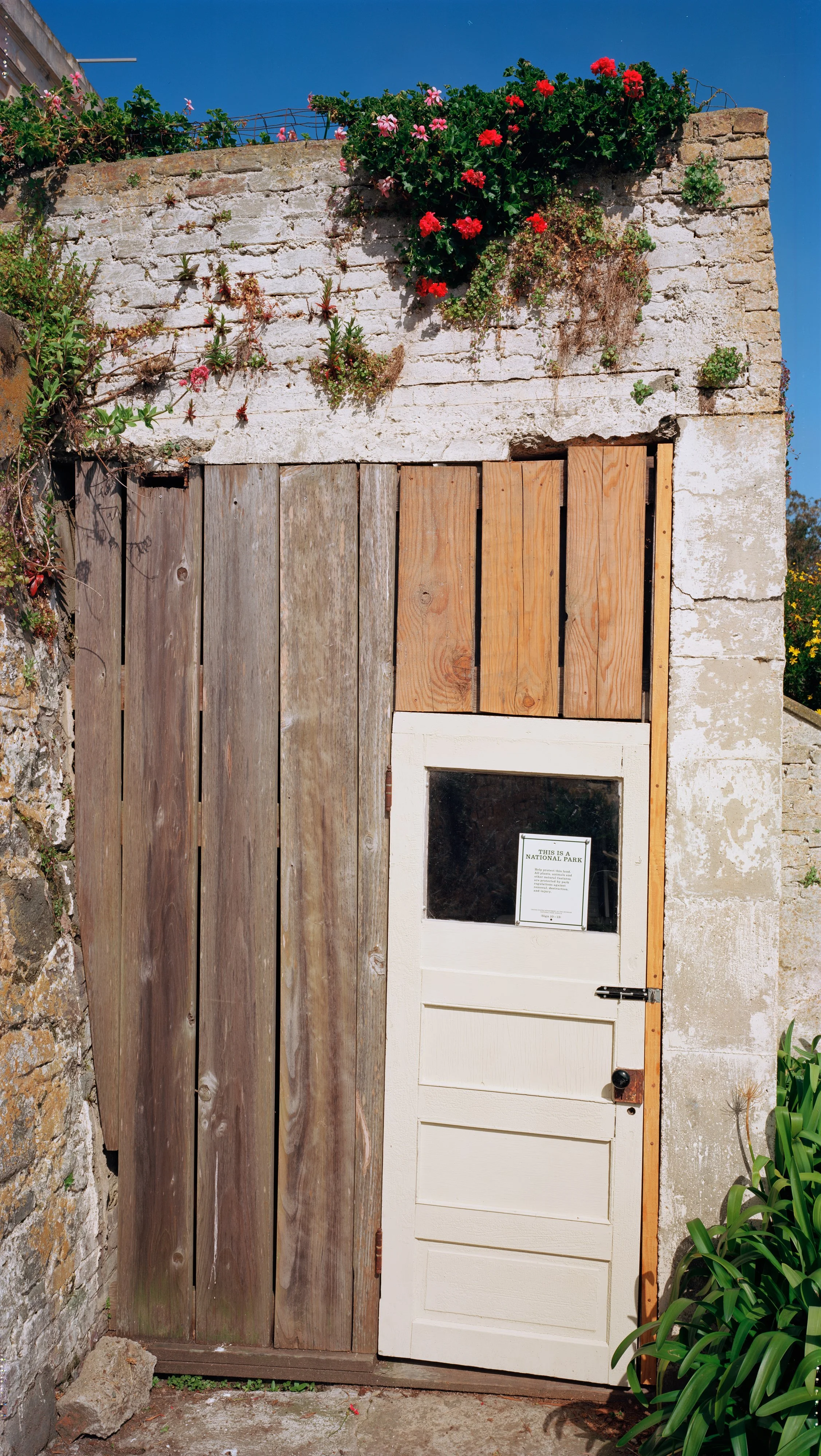 Garden Shed