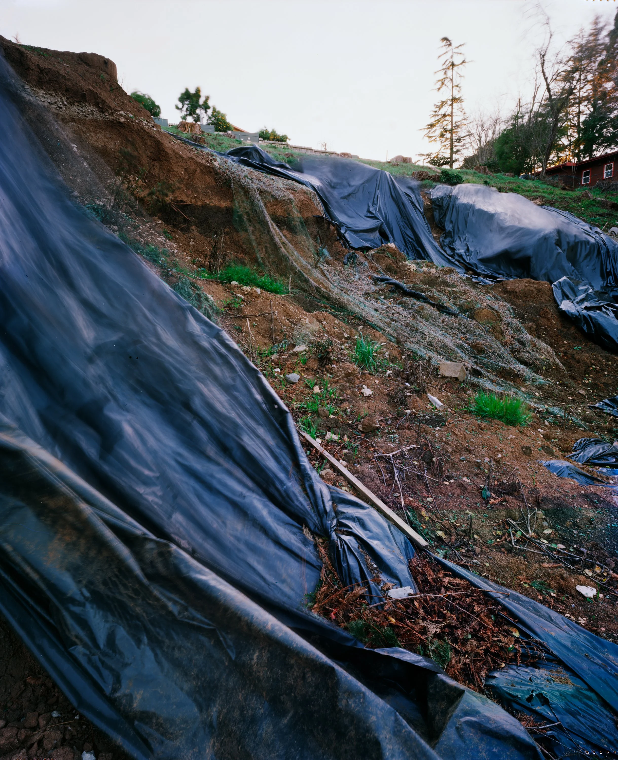 Wild Cat Canyon Rd. 5